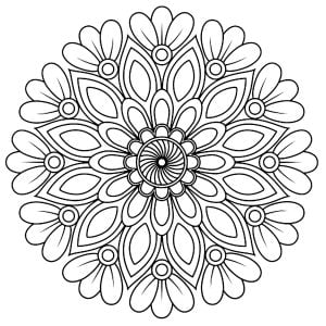 Simple plant mandala with leaves